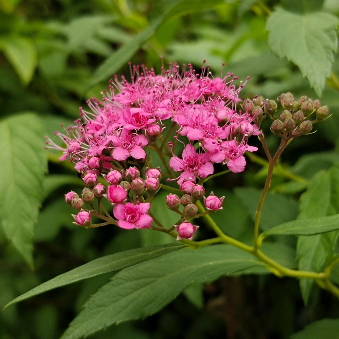 ঞ᭄时来运转ഒᩚ