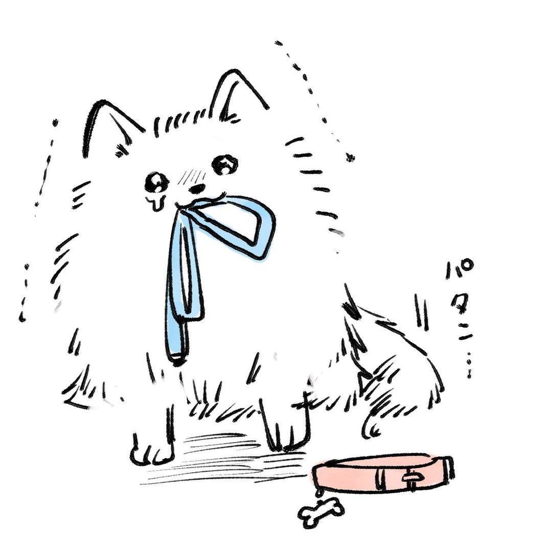 小王犬舍