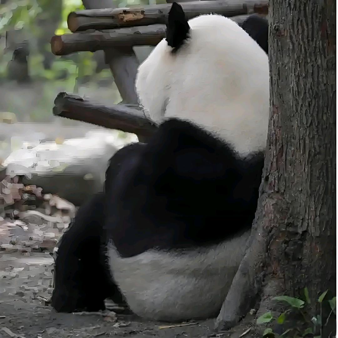 你个网络乞丐