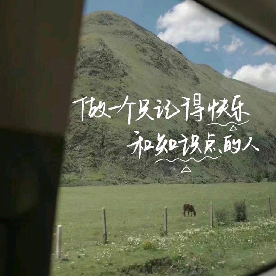不想努力的小白呀