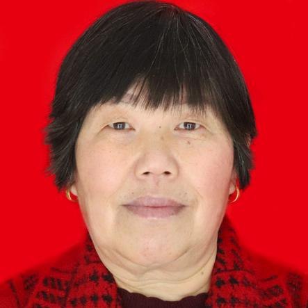 河南二嫂