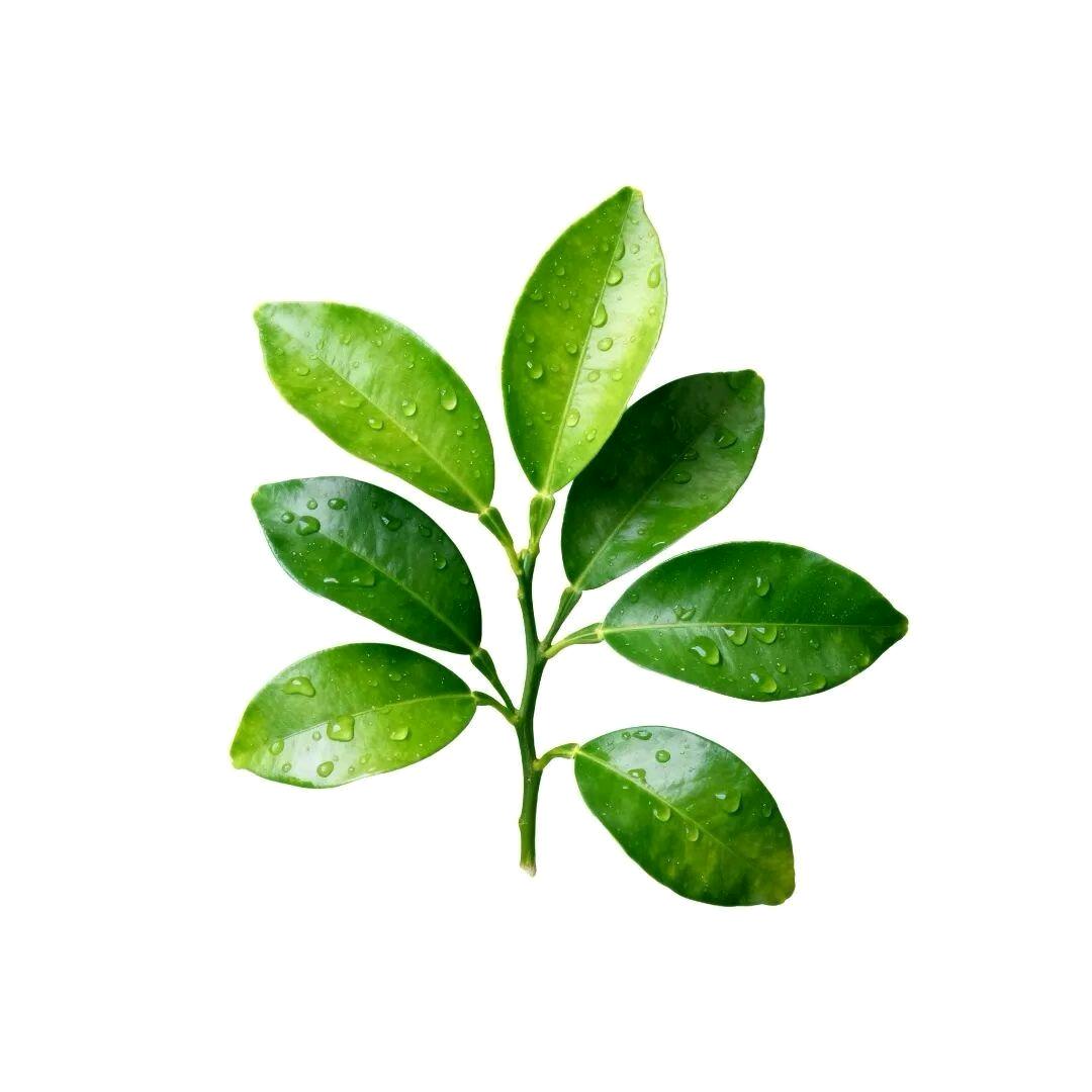 张仙森