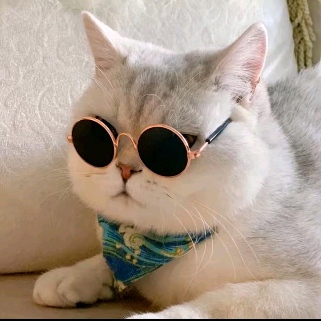 余二娃 橙品低至2/京