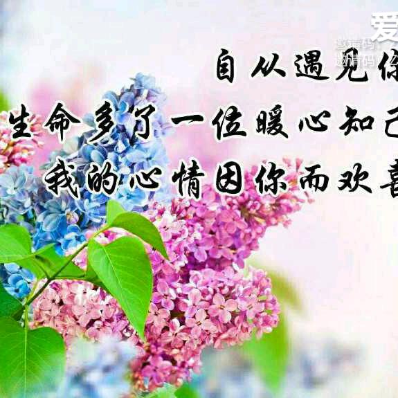 余生与你陪伴