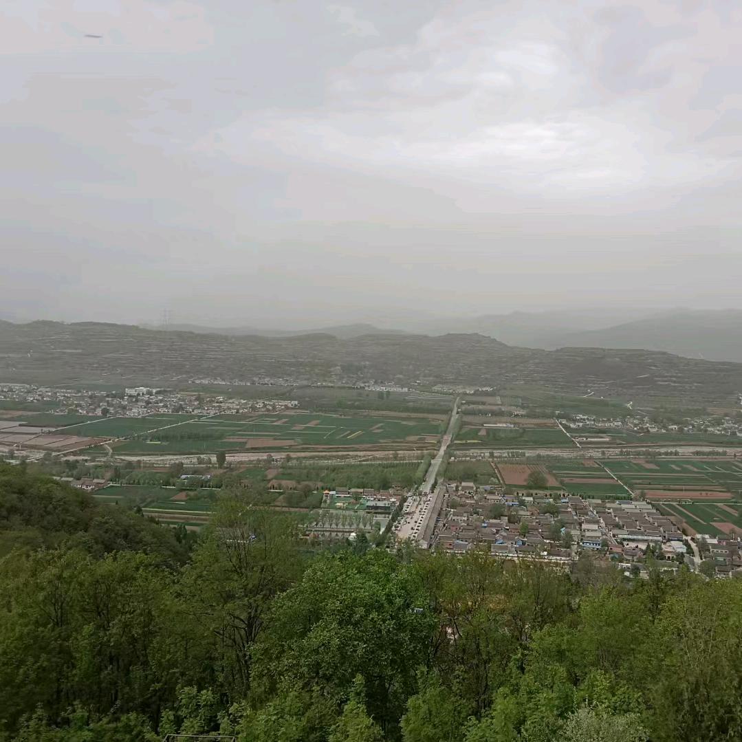 李飞飞
