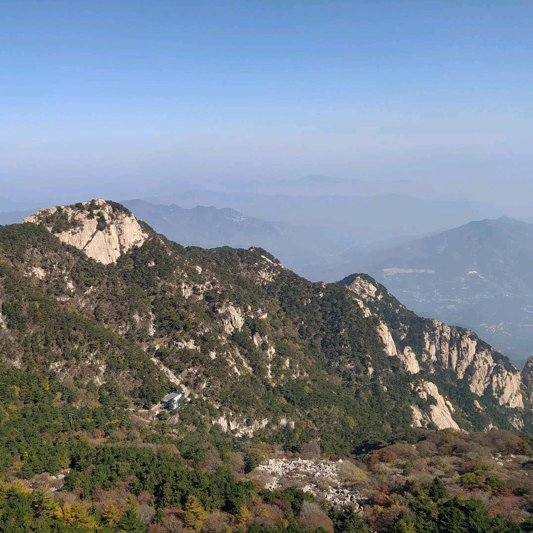白日梦想家
