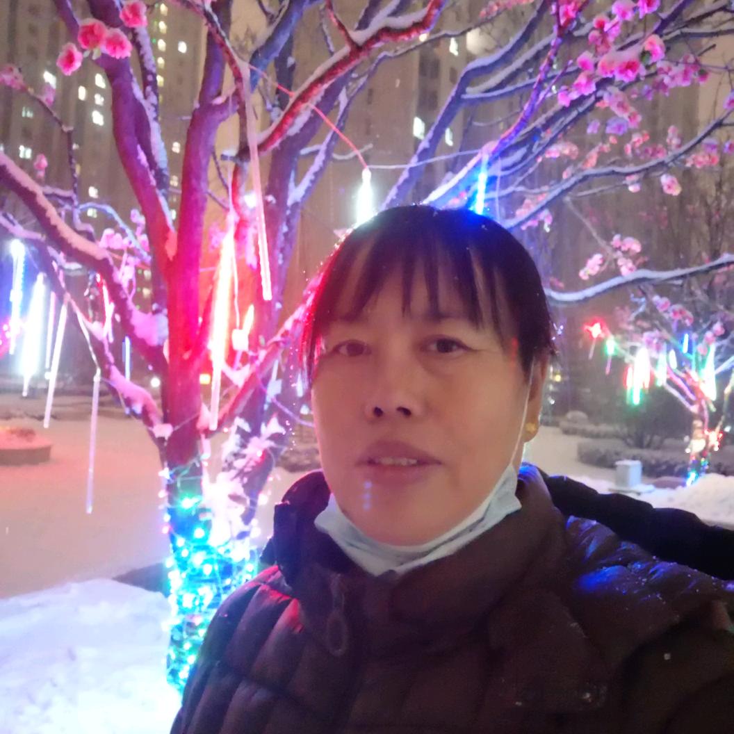 玉兰花开🌺