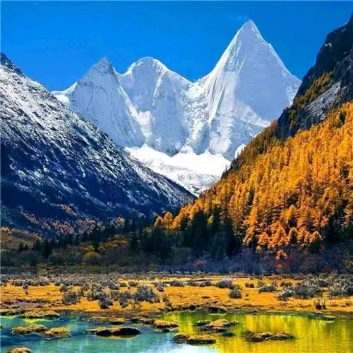 心语