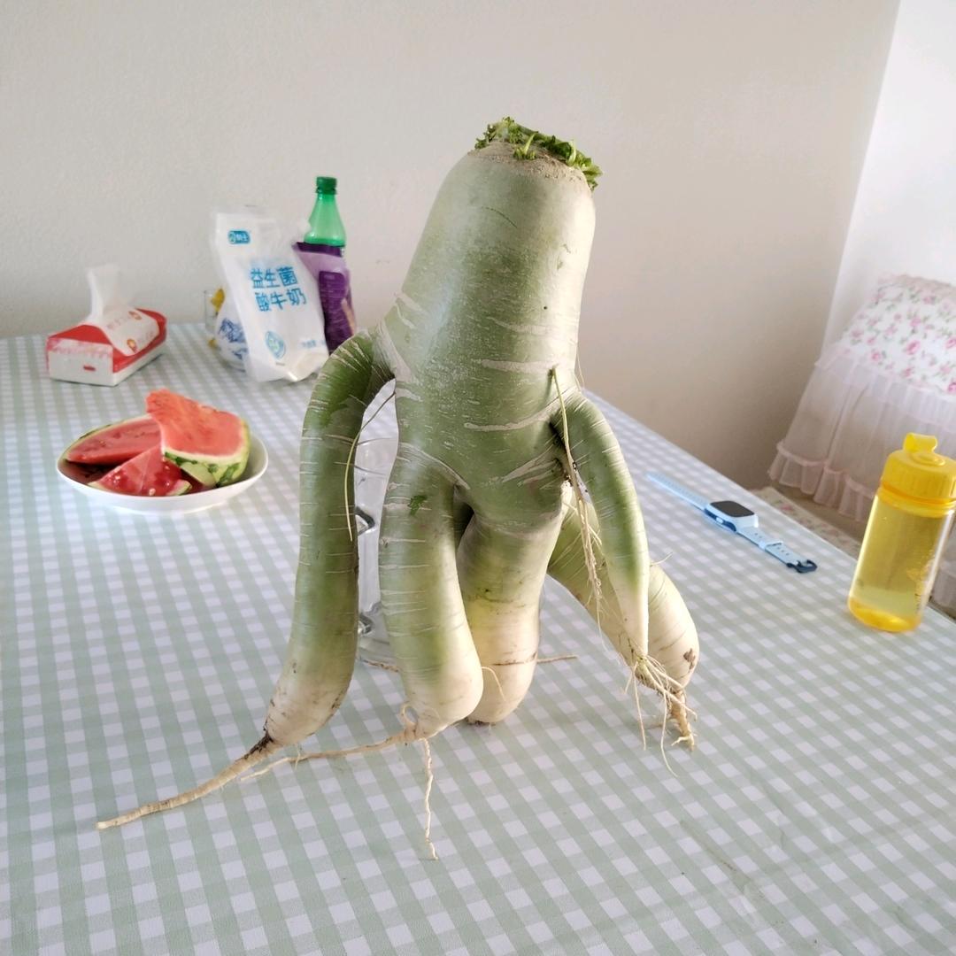 呼呼哈嘿