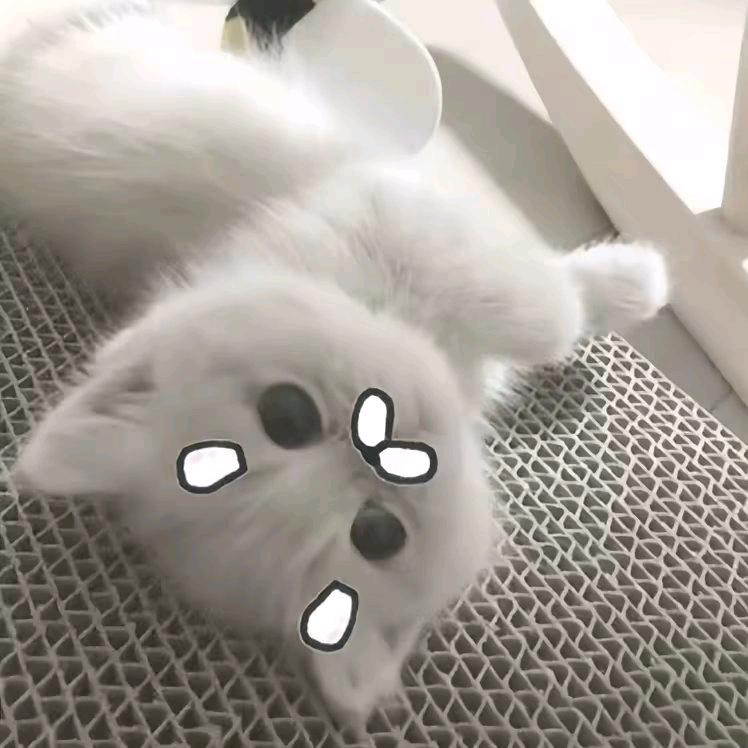ㅤ     ㅤ     1