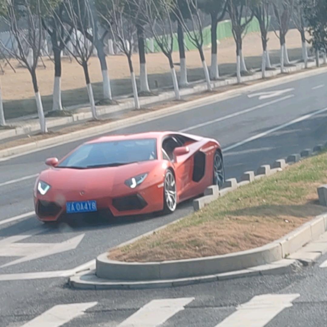 冉冉升起的太阳