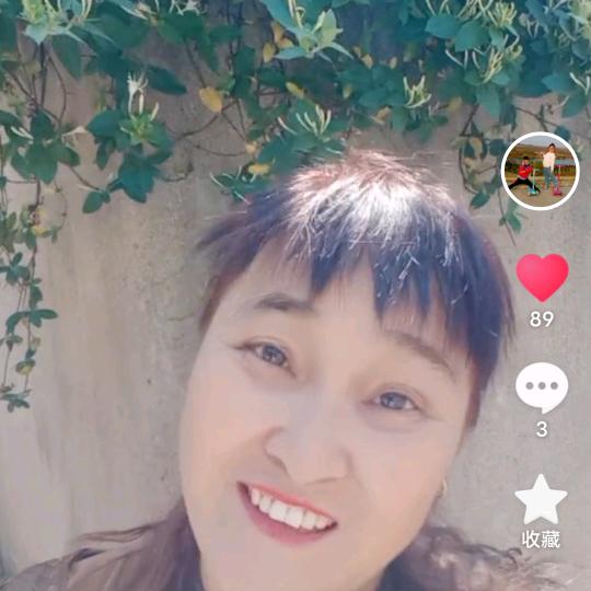 jiahao24987