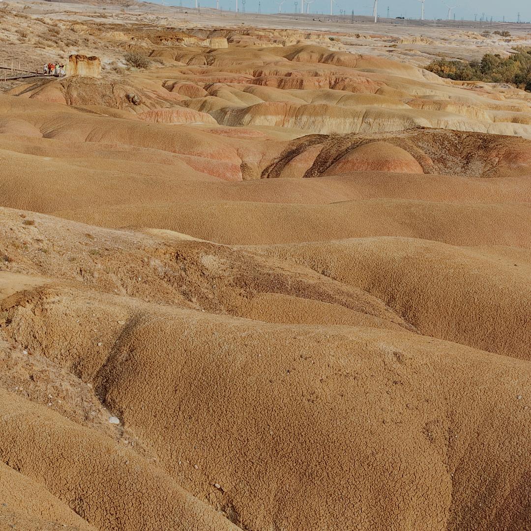 牡丹，照片保存抖音