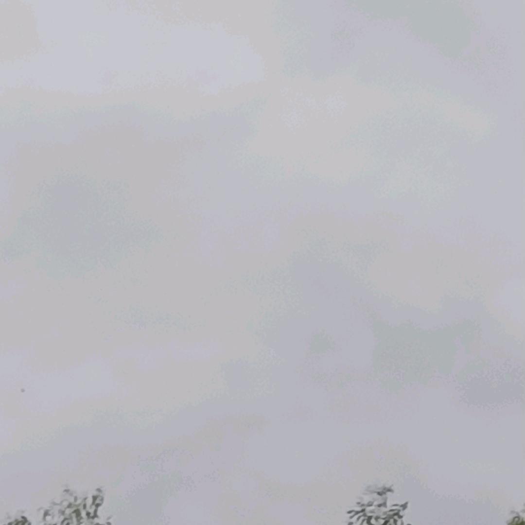 S0头像