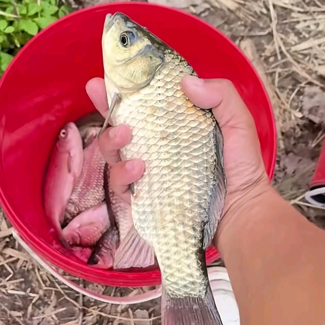 野钓🎣小鲍