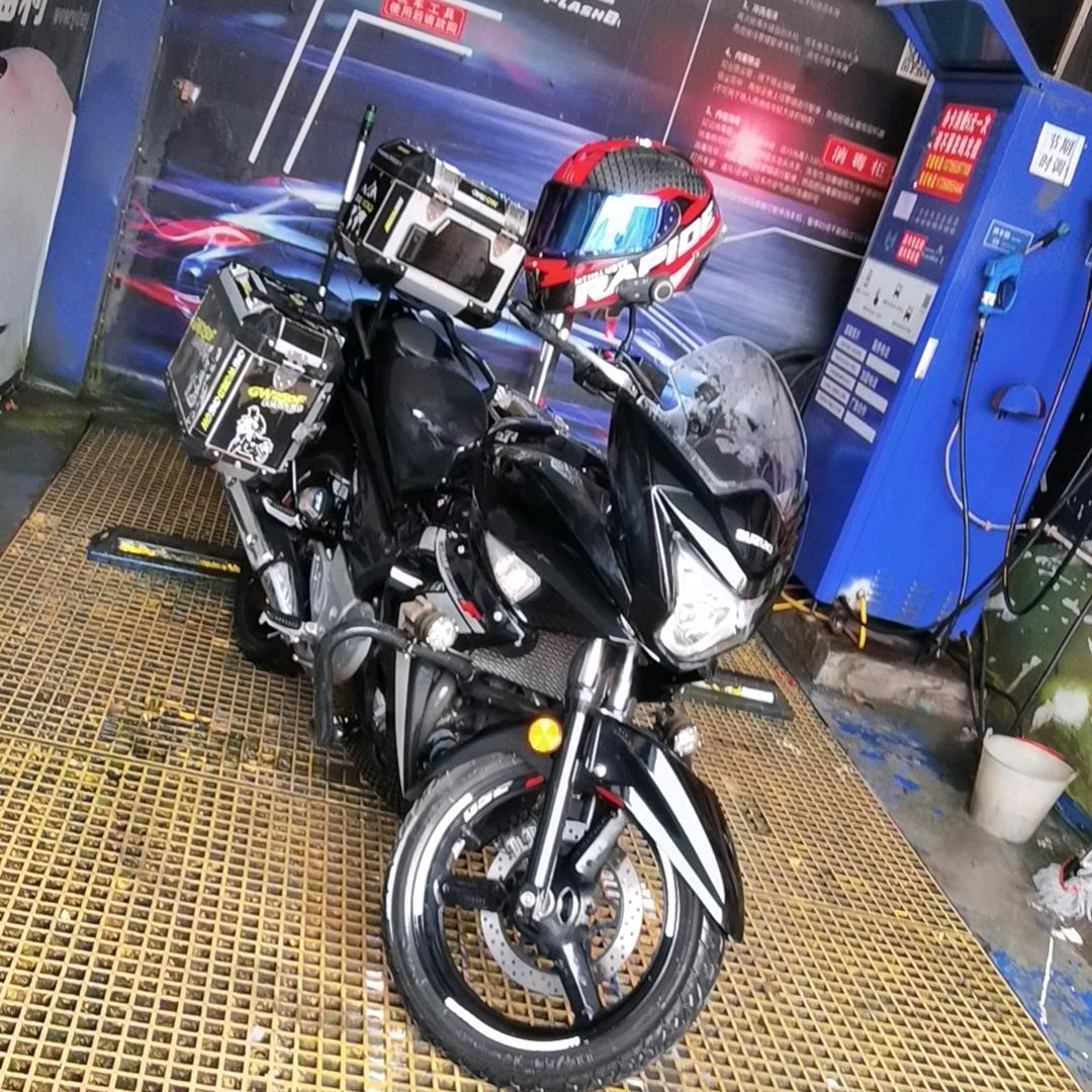 淘气小猪（装修界精英）