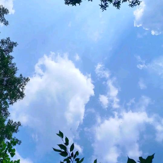 我爱我家