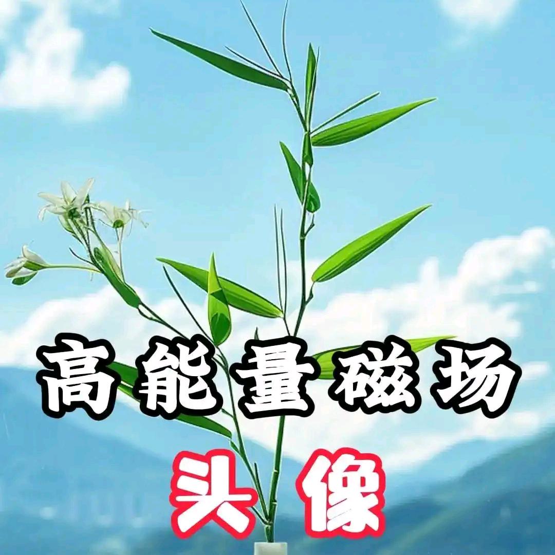 妙不可言好运连连。