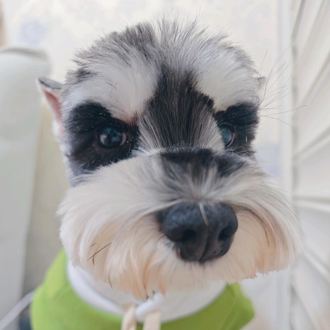 焱驰
