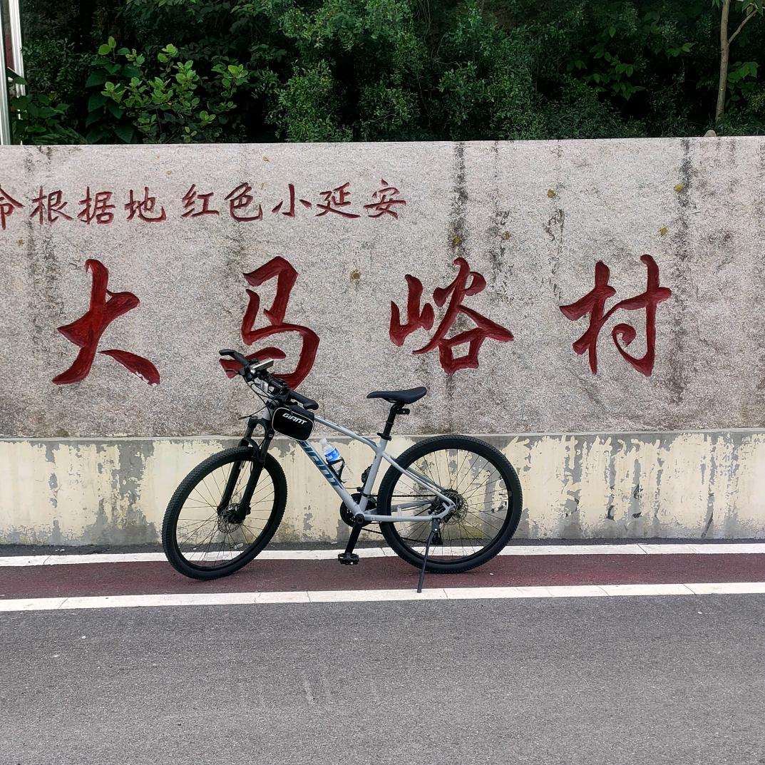 乐在骑中