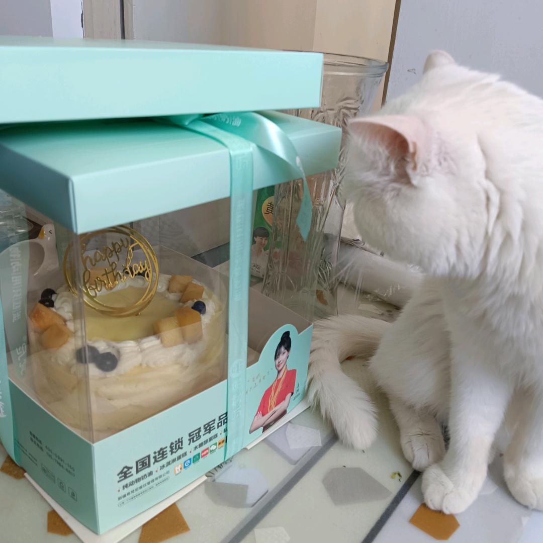 灵魂的音符