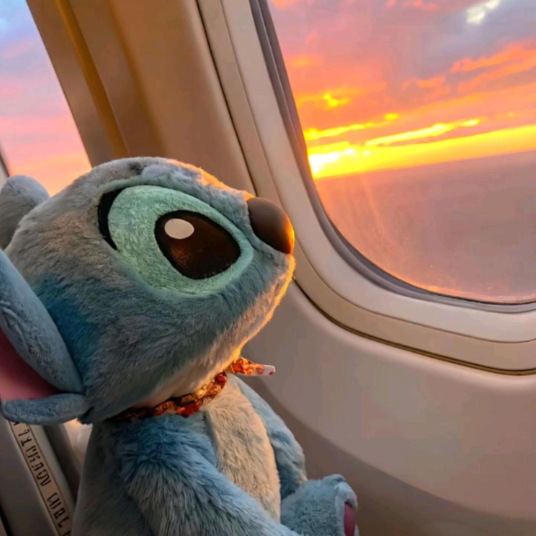 Stitch●︿●