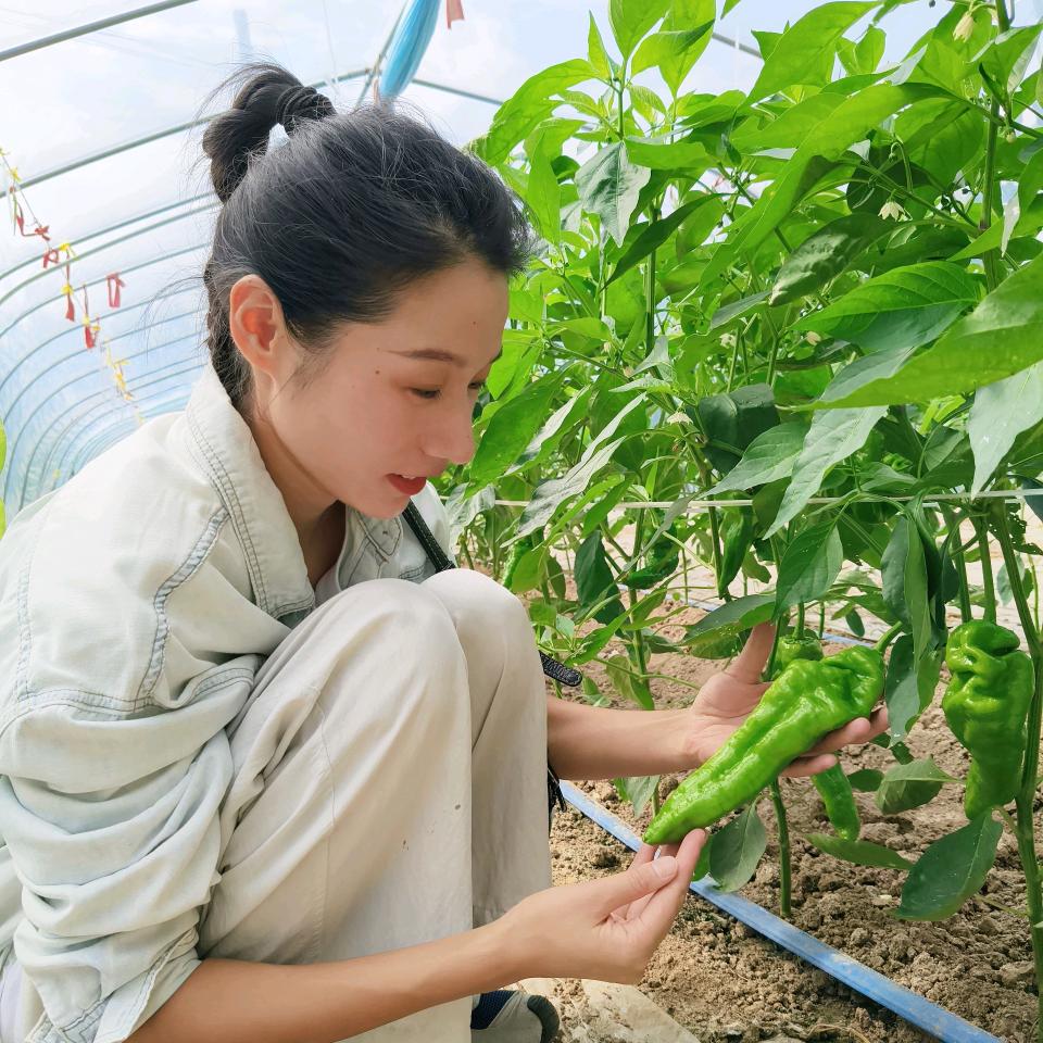 小娇精品果蔬产地直发