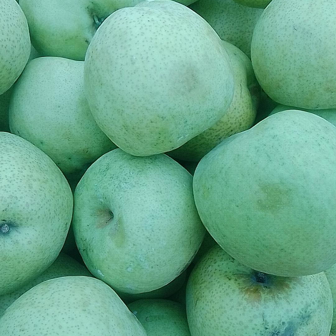 佳乐选购（橱窗有好物）