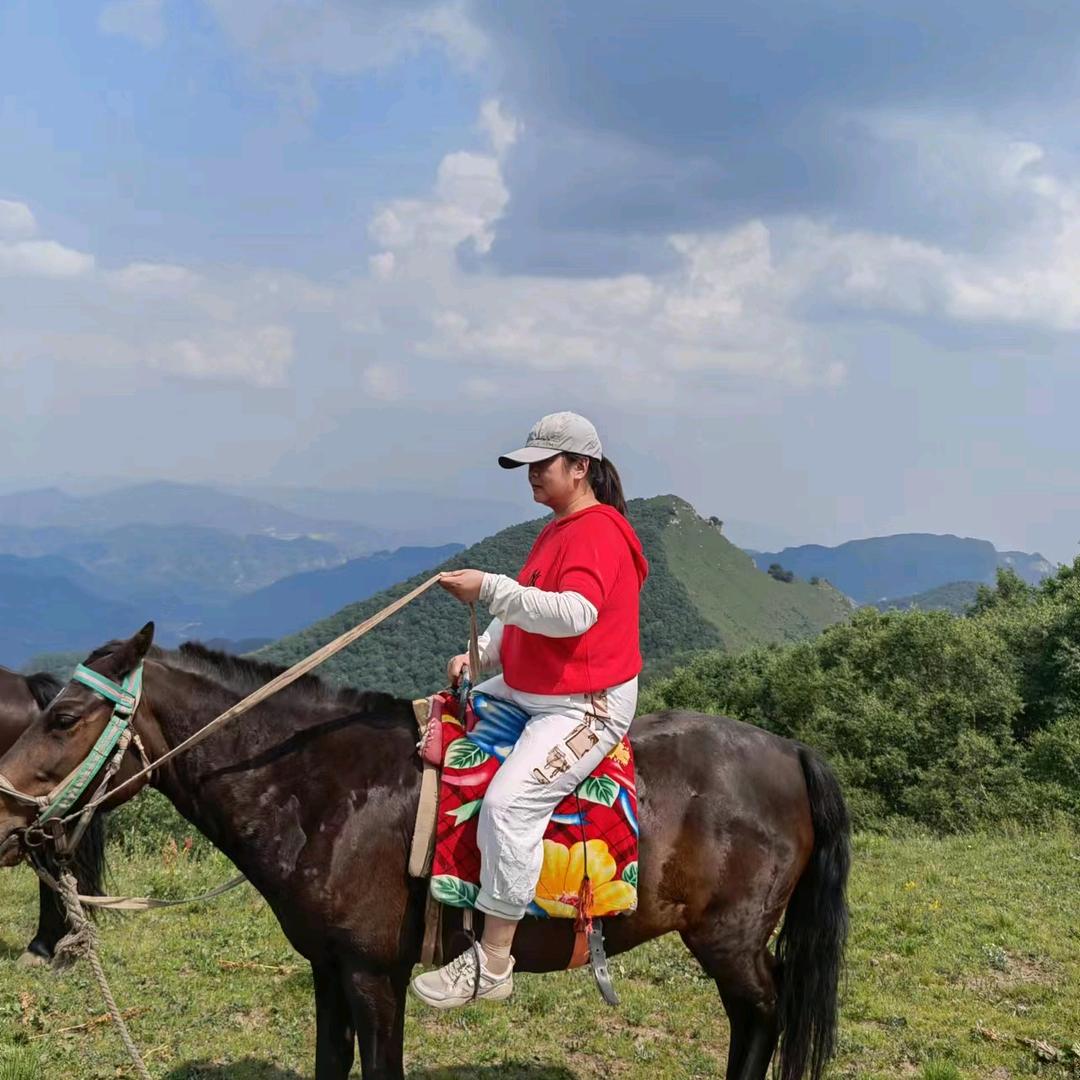 易县章村批发零售春联