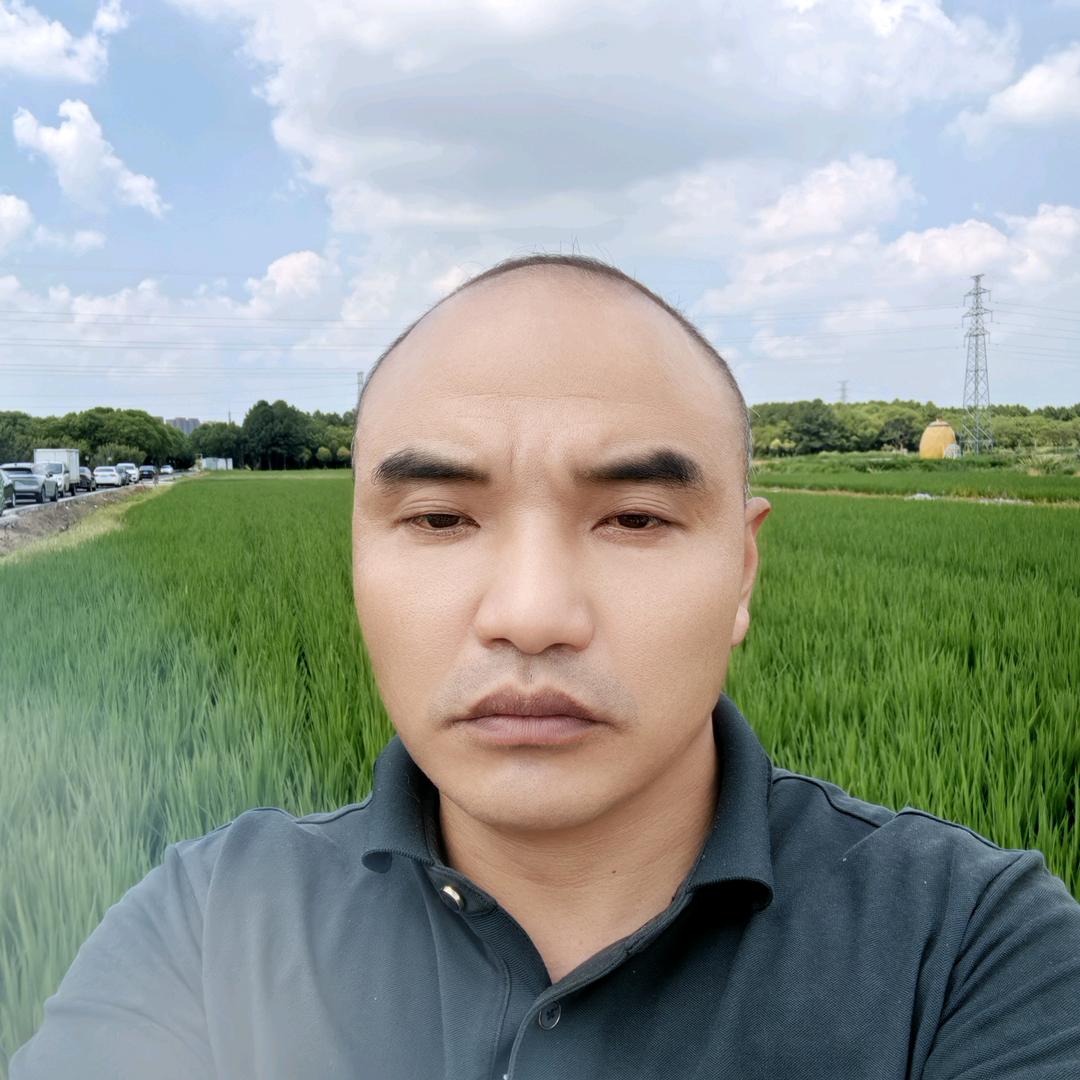 无花果