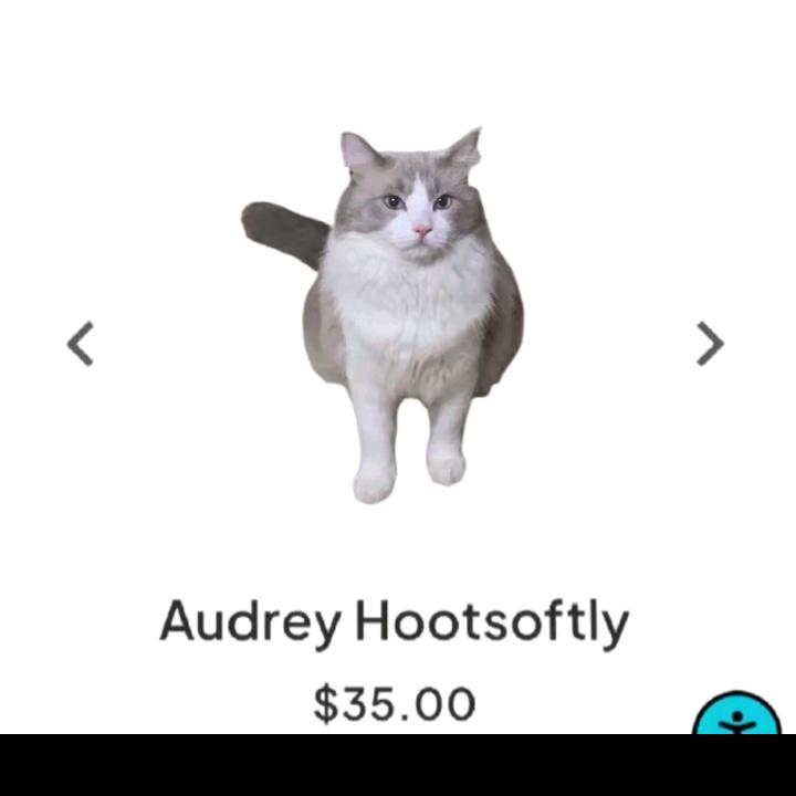 天天幸福