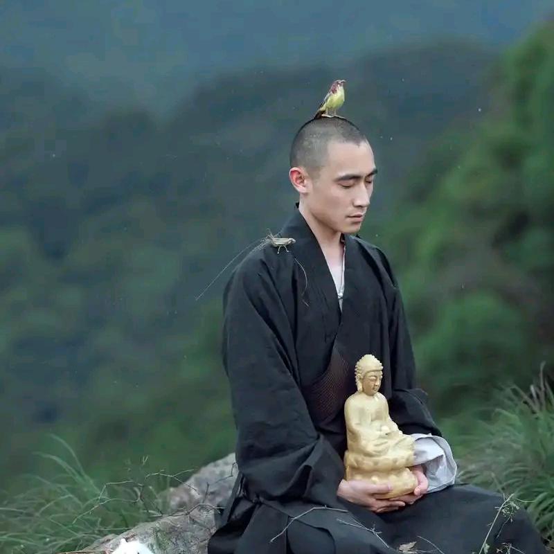 道缘（关注可咨询）