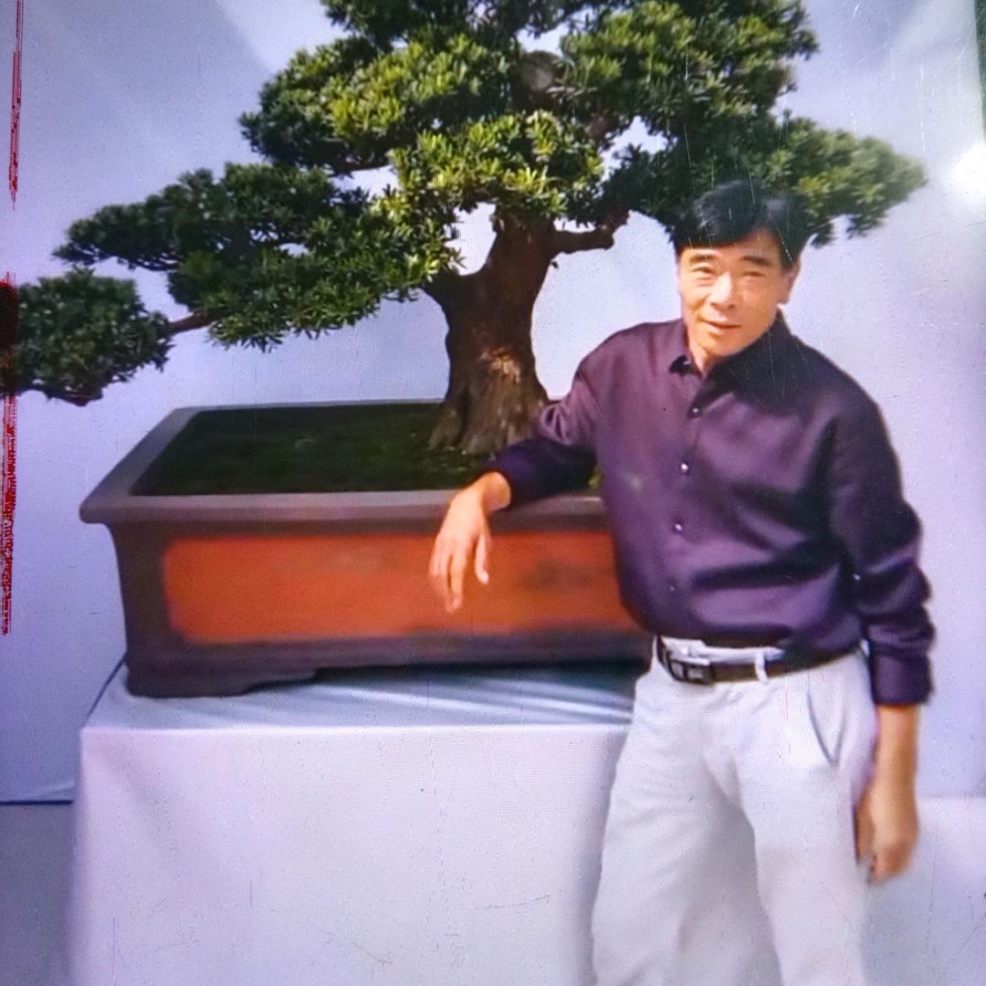 在坐盆景小店
