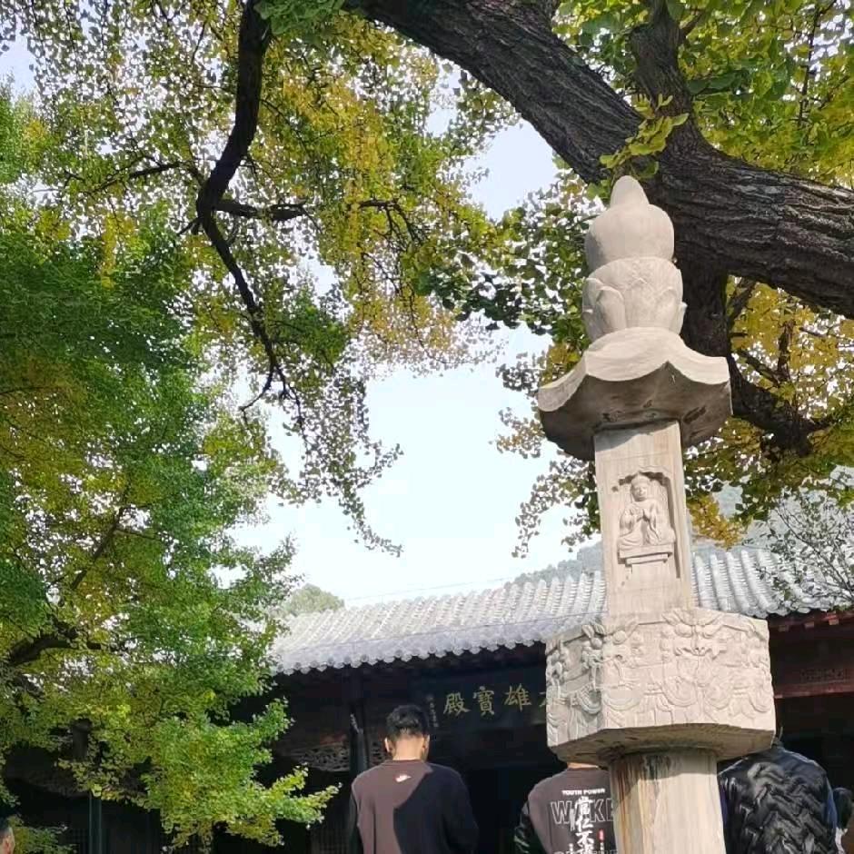 瑞瑞爱吃菜