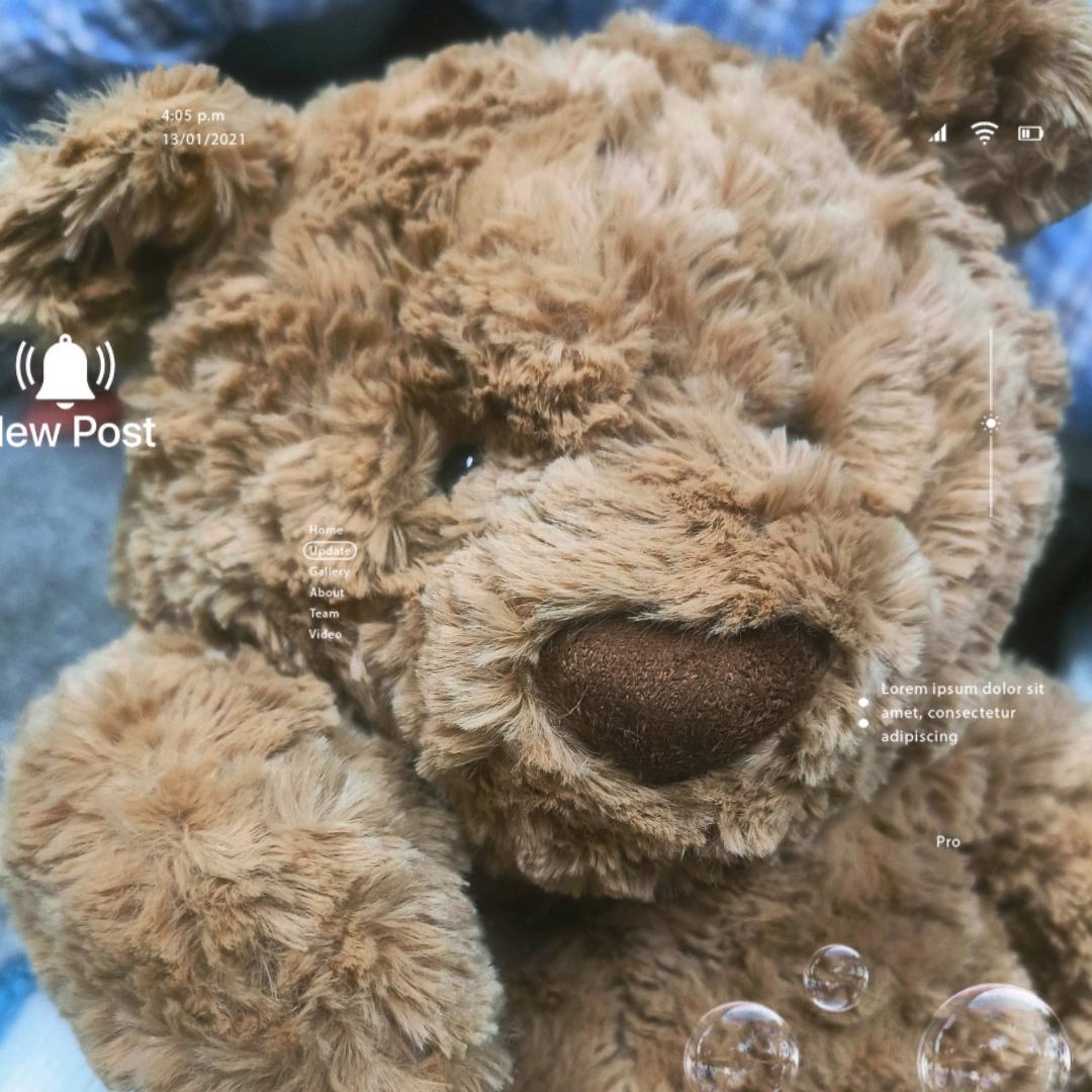 不是小肖
