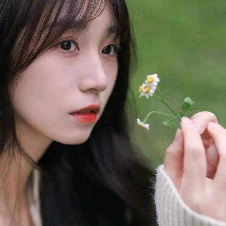 濛濛雨中柠檬心