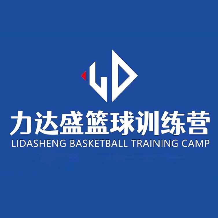 力达盛体育