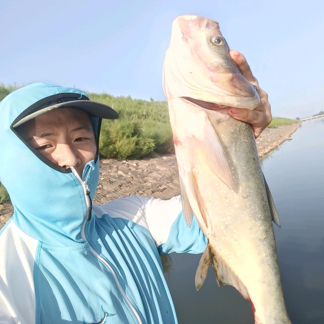 🎣乐钓小希🎣