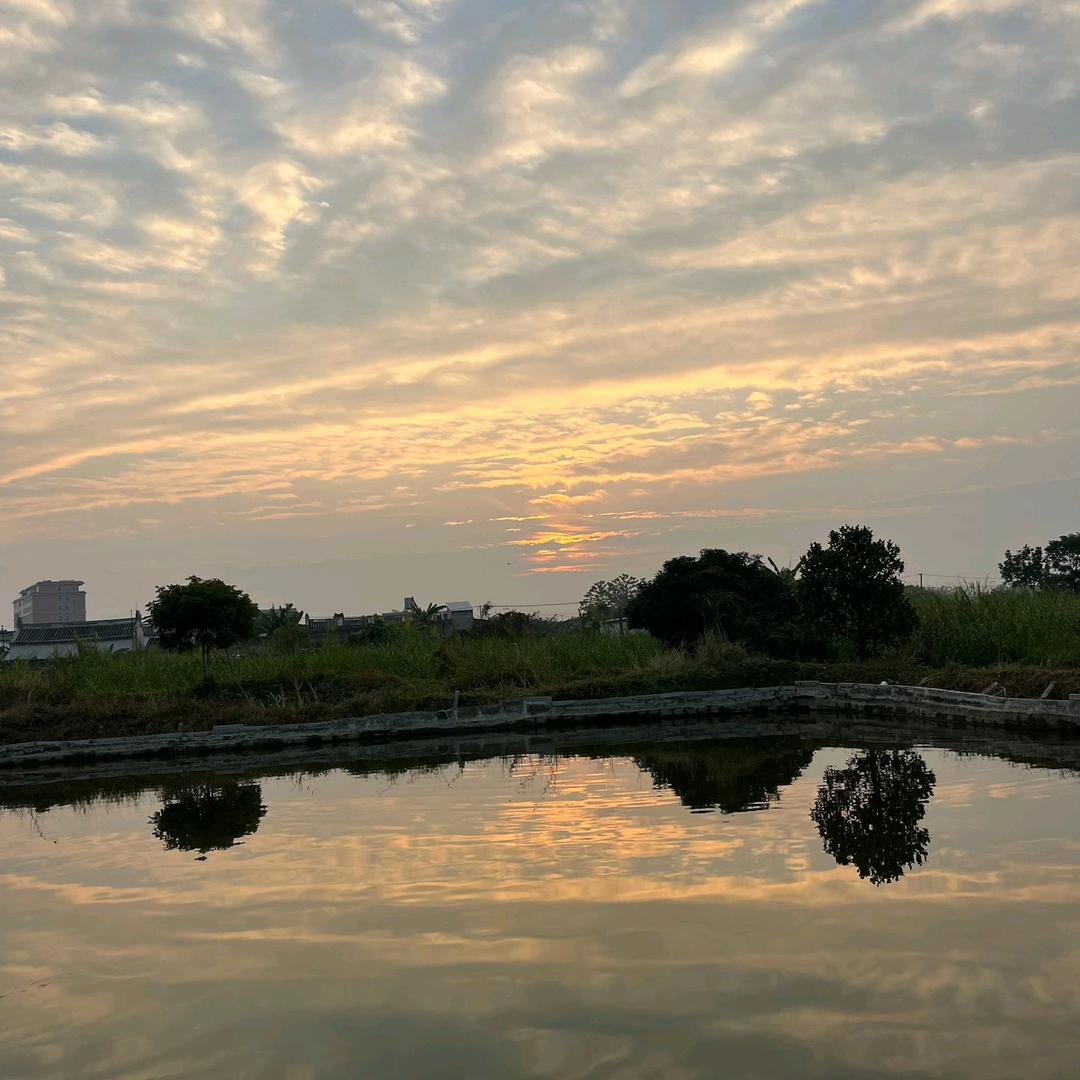 ღ᭄米运🌾亨通💞