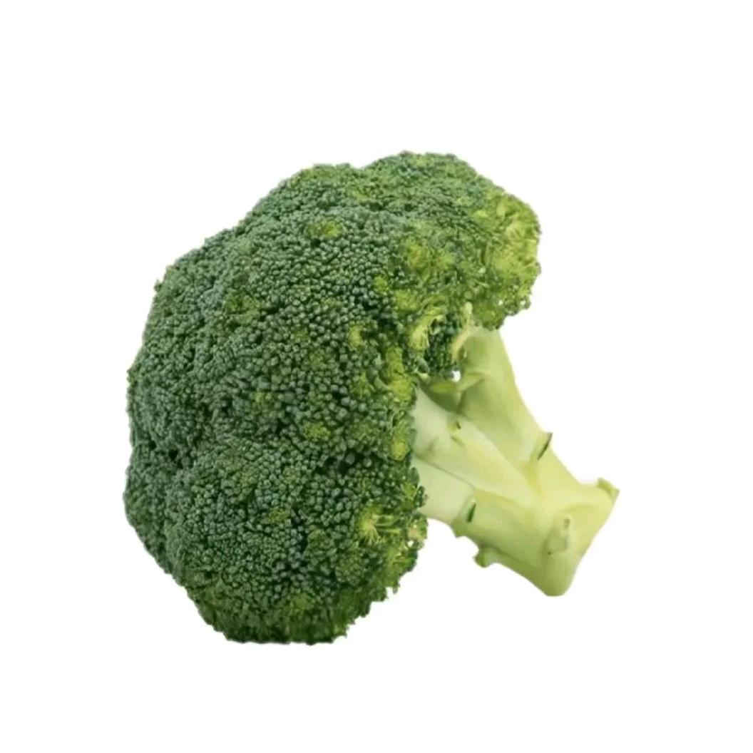 绝育的菠萝🍍