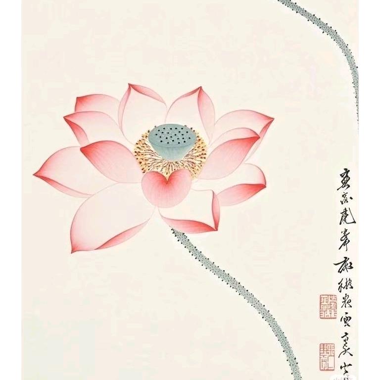 乐悠六六