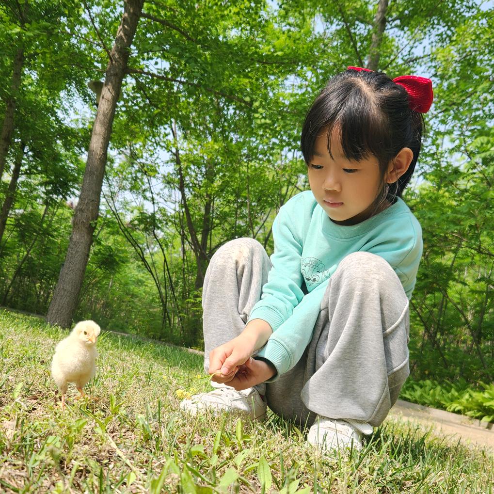汉堡妈妈