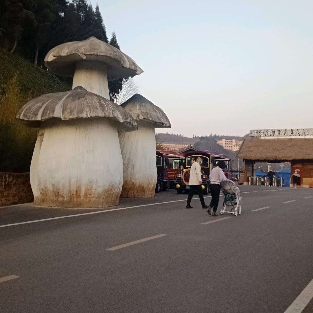 低调做人，高调做事