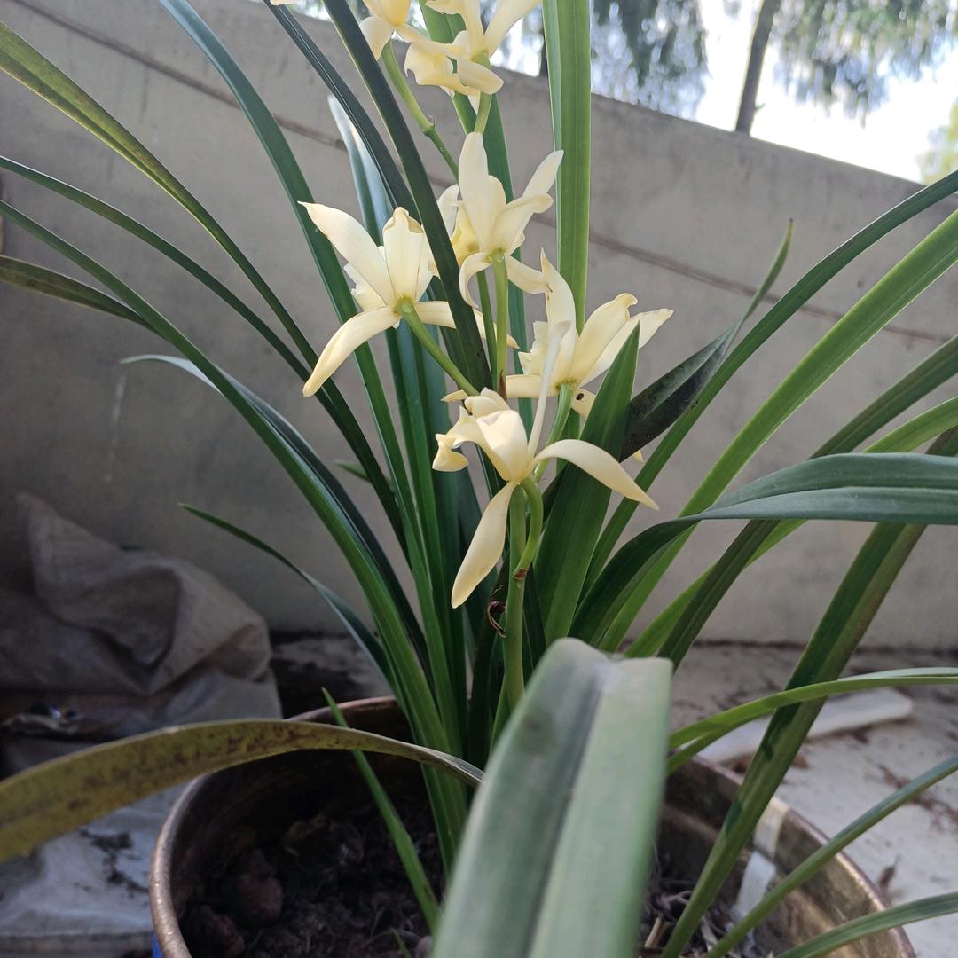 ⭐️⭐️⭐️释然⭐️⭐️⭐️