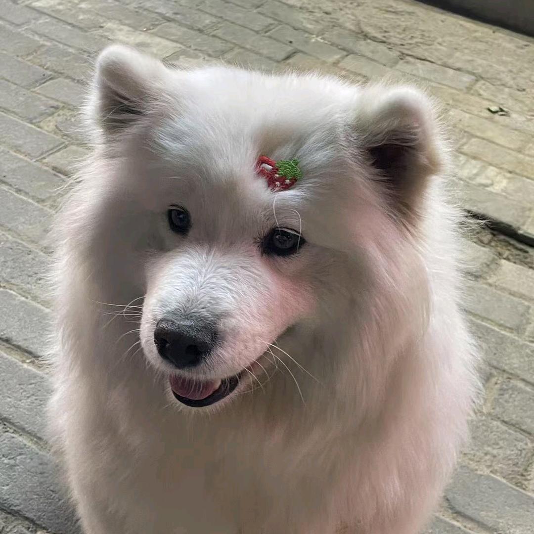 程熙淏