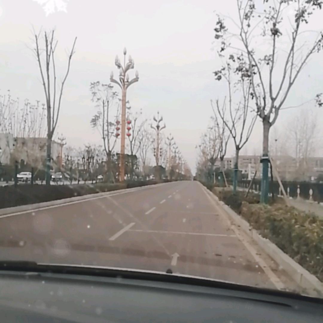 大周2号