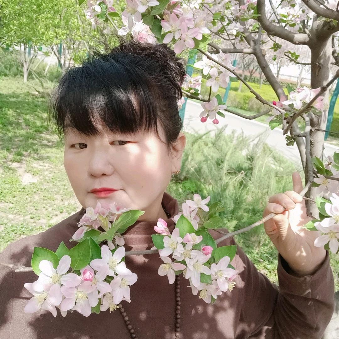 雪中红玫瑰
