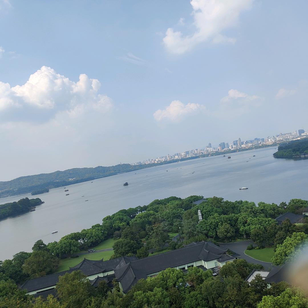 一直读不懂自己。