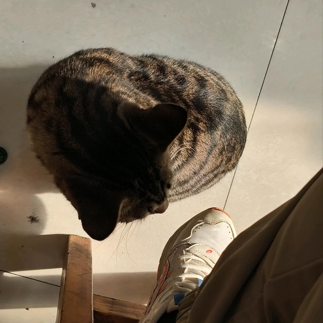 何