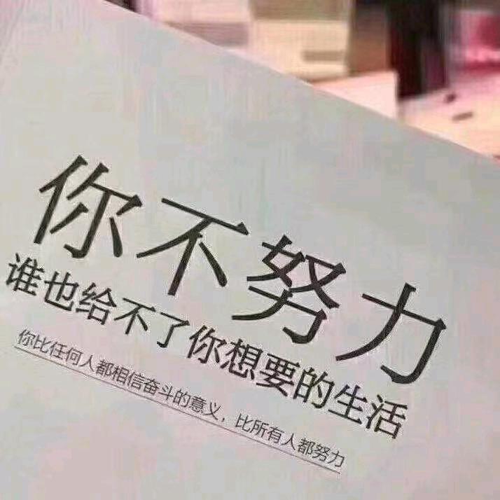 170💋小刺猬